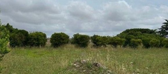  قطعة أرض في Galatina, Italy رقم 320209 4