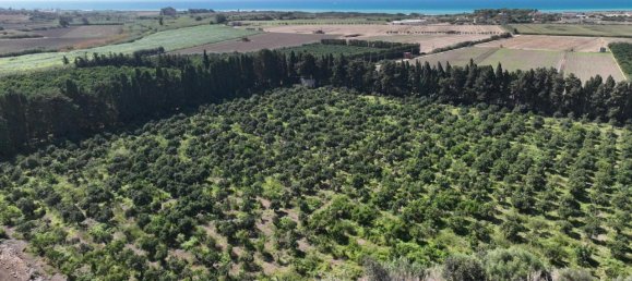 6-salle Maison à Ragusa, Italy No. 232879 25