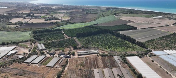 6-salle Maison à Ragusa, Italy No. 232879 21