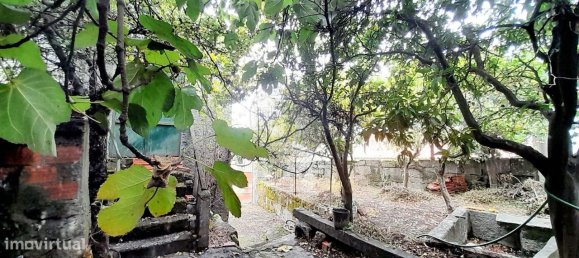 3 Schlafzimmer Haus in Seixo da Beira, Portugal, Nr. 15593 4