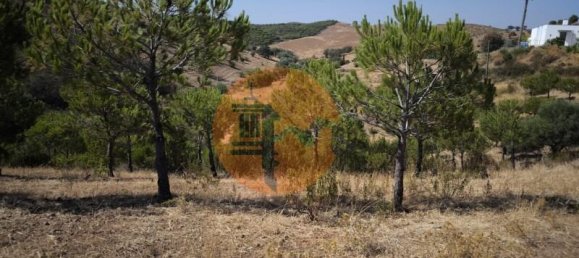 Grundstück in Castro Marim, Portugal 117360m², Nr. 264580 30