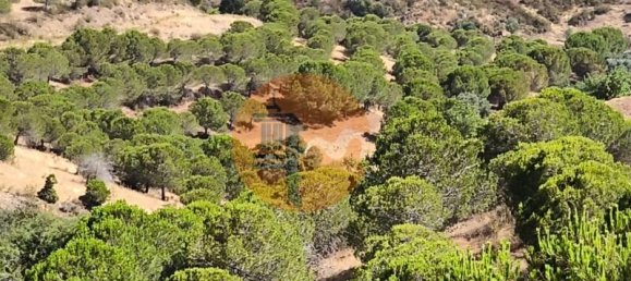 Grundstück in Castro Marim, Portugal 117360m², Nr. 264580 11