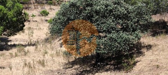 Grundstück in Castro Marim, Portugal 117360m², Nr. 264580 5