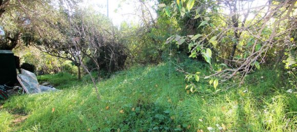 110m² Property in Corfu, Greece No. 4008 30