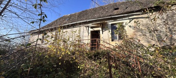 استوديو في Saint-Merd-de-Lapleau, France رقم 98821 3