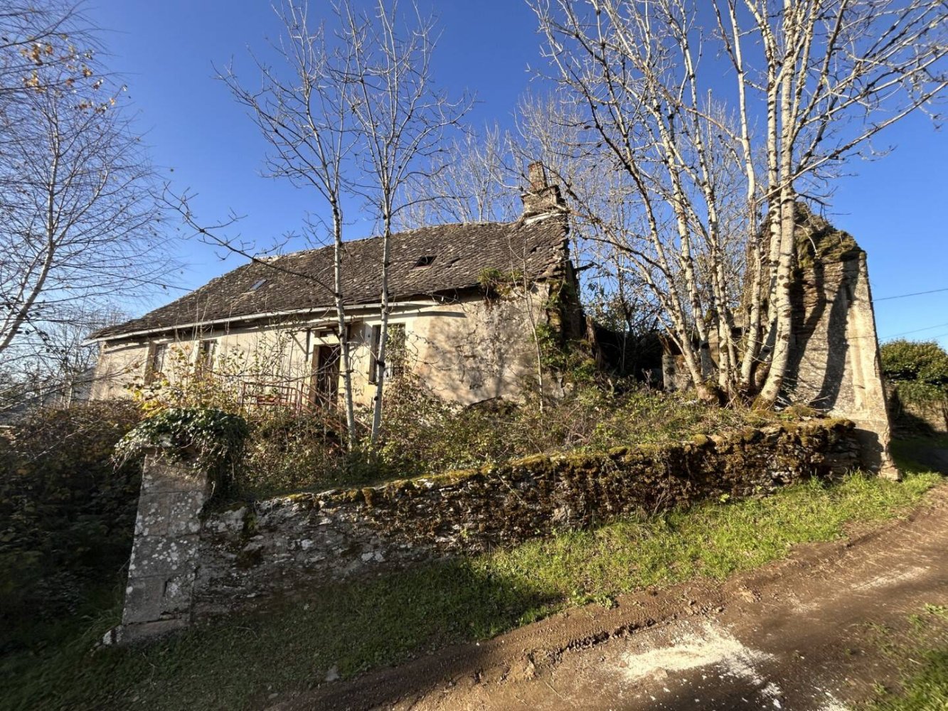 استوديو في Saint-Merd-de-Lapleau, France رقم 98821