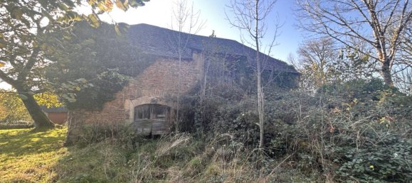 استوديو في Saint-Merd-de-Lapleau, France رقم 98821 2