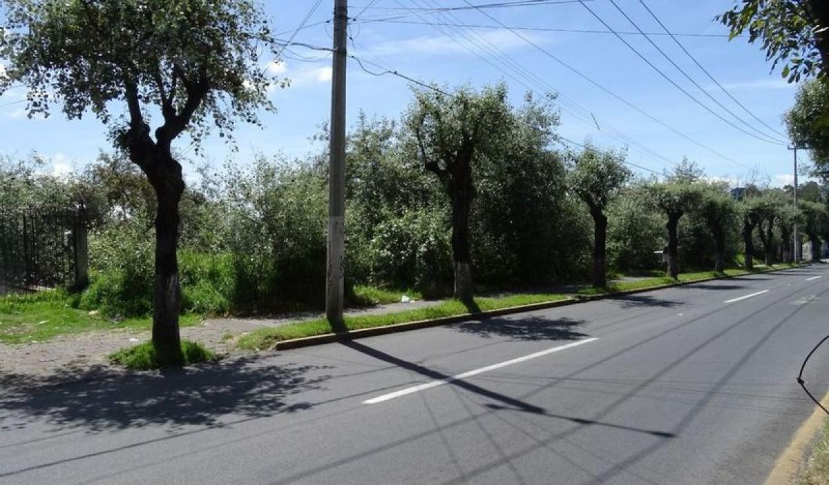 Grundstück in San Buenaventura, Mexico, Nr. 203152