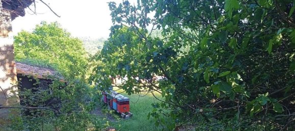 16-Zimmer Haus in Città di Castello, Italy, Nr. 19743 12