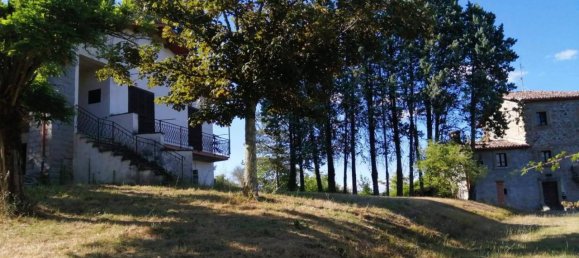 16-Zimmer Haus in Città di Castello, Italy, Nr. 19743 6