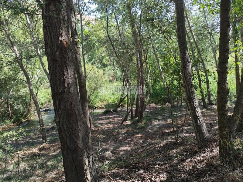  قطعة أرض في Granada, Spain 12600متر مربع رقم 228379