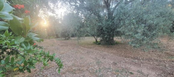 51m² Land in Almeria, Spain No. 163066 13