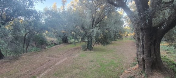 51m² Land in Almeria, Spain No. 163066 9