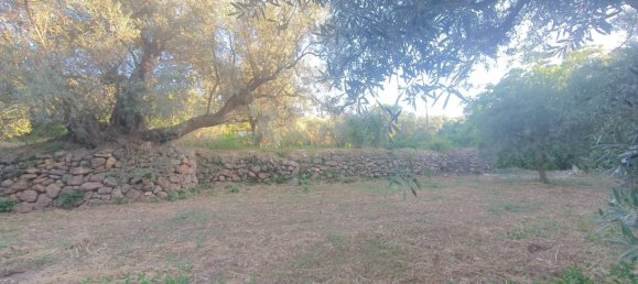 51m² Land in Almeria, Spain No. 163066 12