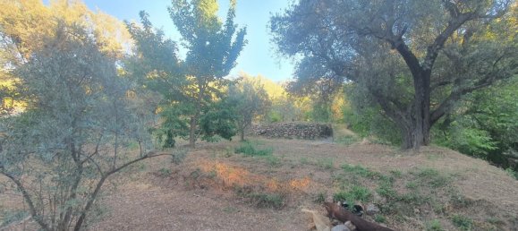 51m² Land in Almeria, Spain No. 163066 10