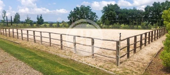 35 rooms Villa in Massa Marittima, Italy No. 233393 11