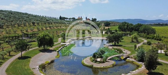35 rooms Villa in Massa Marittima, Italy No. 233393 13