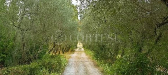 4 bedrooms Villa in Florence, Italy No. 302009 18