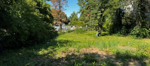 Terrain à Liesing, Austria No. 128509 2