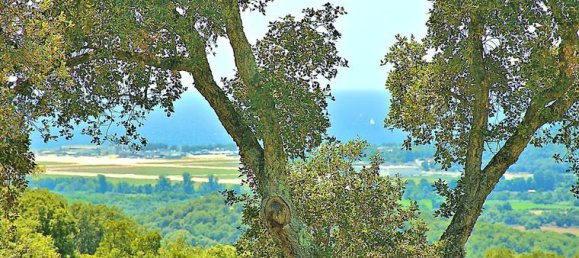 4 Schlafzimmer Villa in Bastelicaccia, France, Nr. 307911 19