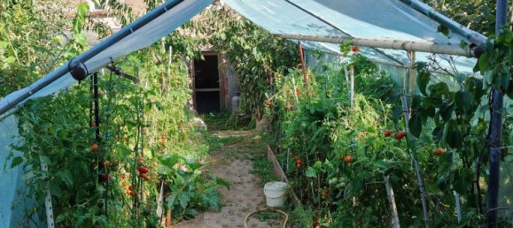 Edificio de 4 dormitorios en Elbe-Elster, Germany No. 218768 3
