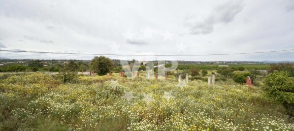 Villa de 4 dormitorios en Silves, Portugal No. 157141 31
