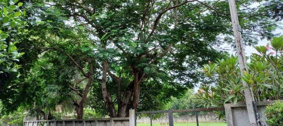 20 bedrooms Commercial property in Chiang Mai, Thailand No. 21881 10