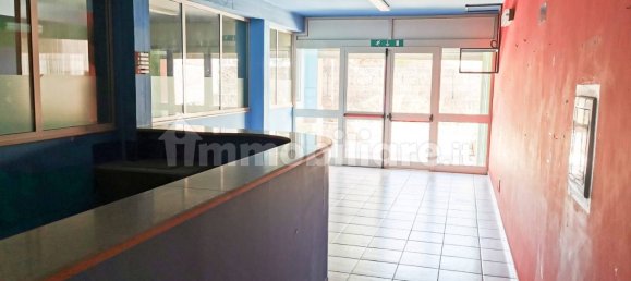 Propiedad comercial de 5 habitaciónes en Marineo, Italy No. 165493 3