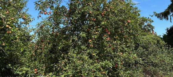 10-Zimmer Villa in Saarbrücken, Germany, Nr. 350148 36