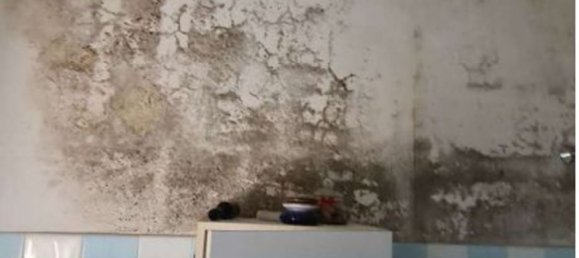 4غرفة شقة في Montottone, Italy رقم 97284 11