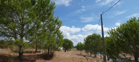 30130m² Land in Mexilhoeira Grande, Portugal No. 31465 16
