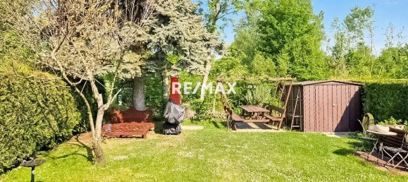 3 rooms Bungalow in Ebergassing, Austria No. 159633 6