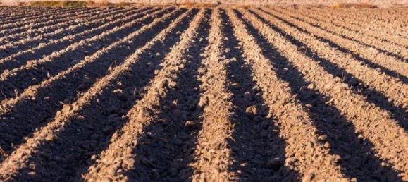 Apartamento T1 em Cinisello Balsamo, Italy N.º 6615 18