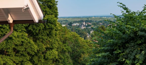 4 bedrooms Villa in Baden, Austria No. 193597 42