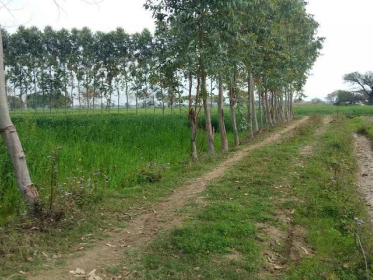  قطعة أرض في Noida, India رقم 65997