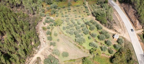  قطعة أرض في Barroca, Portugal 9750متر مربع رقم 90673 3