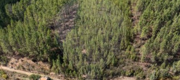  قطعة أرض في Barroca, Portugal 9750متر مربع رقم 90673 2