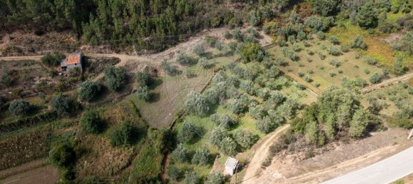  قطعة أرض في Barroca, Portugal 9750متر مربع رقم 90673 4