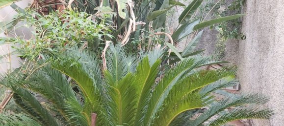 6 rooms House in Terme Vigliatore, Italy No. 177102 19