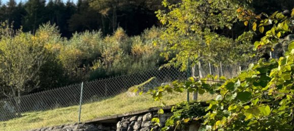 4 غرف نوم منزل في Granges-Aumontzey, France رقم 219796 7