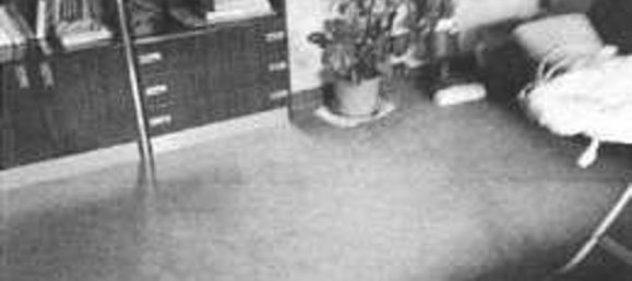 7 bedrooms Apartment in Arzignano, Italy No. 349217 5