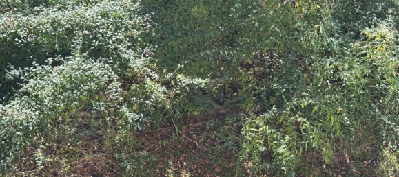 7-Zimmer Villa in Premeno, Italy, Nr. 172030 19