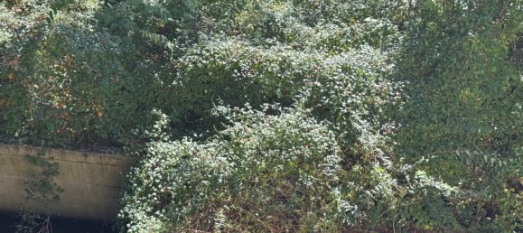 7-Zimmer Villa in Premeno, Italy, Nr. 172030 20