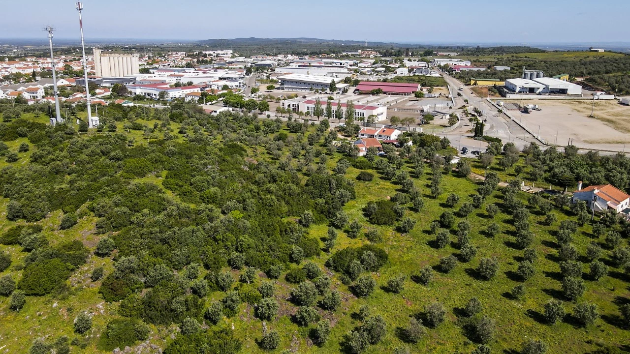  Land in Estremoz, Portugal No. 279538