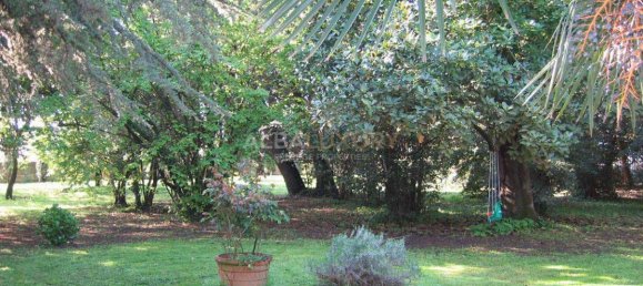 8 chambres Villa à San Giuliano Terme, Italy No. 470 9