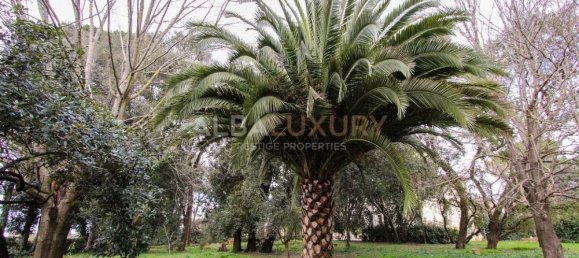 8 chambres Villa à San Giuliano Terme, Italy No. 470 11