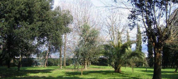 8 chambres Villa à San Giuliano Terme, Italy No. 470 7