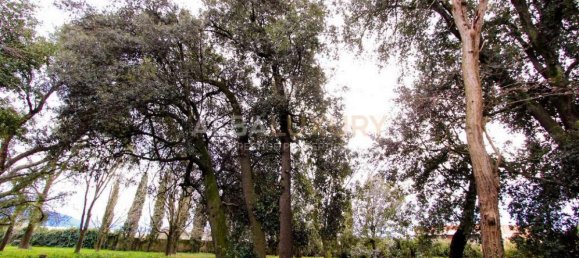 8 chambres Villa à San Giuliano Terme, Italy No. 470 12