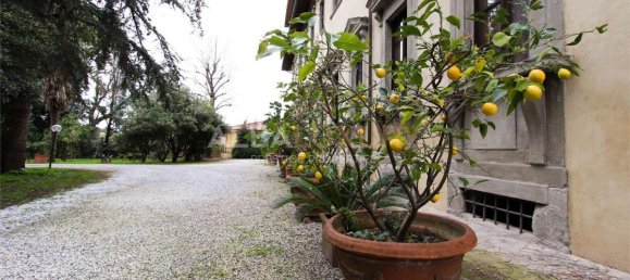 8 chambres Villa à San Giuliano Terme, Italy No. 470 5