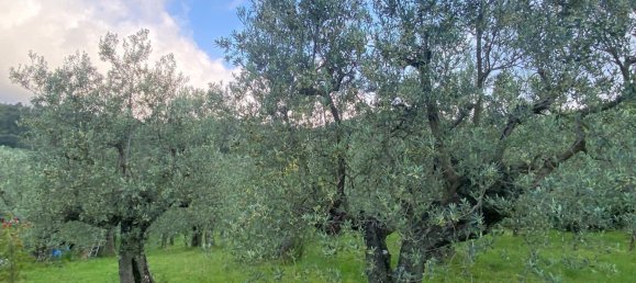 3300m² Land in Calenzano, Italy No. 257139 9
